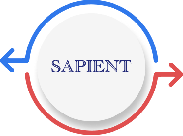 Hệ thống Giao thông thông minh Sapient 
