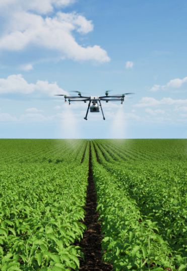 Các giải pháp công  nghệ khác