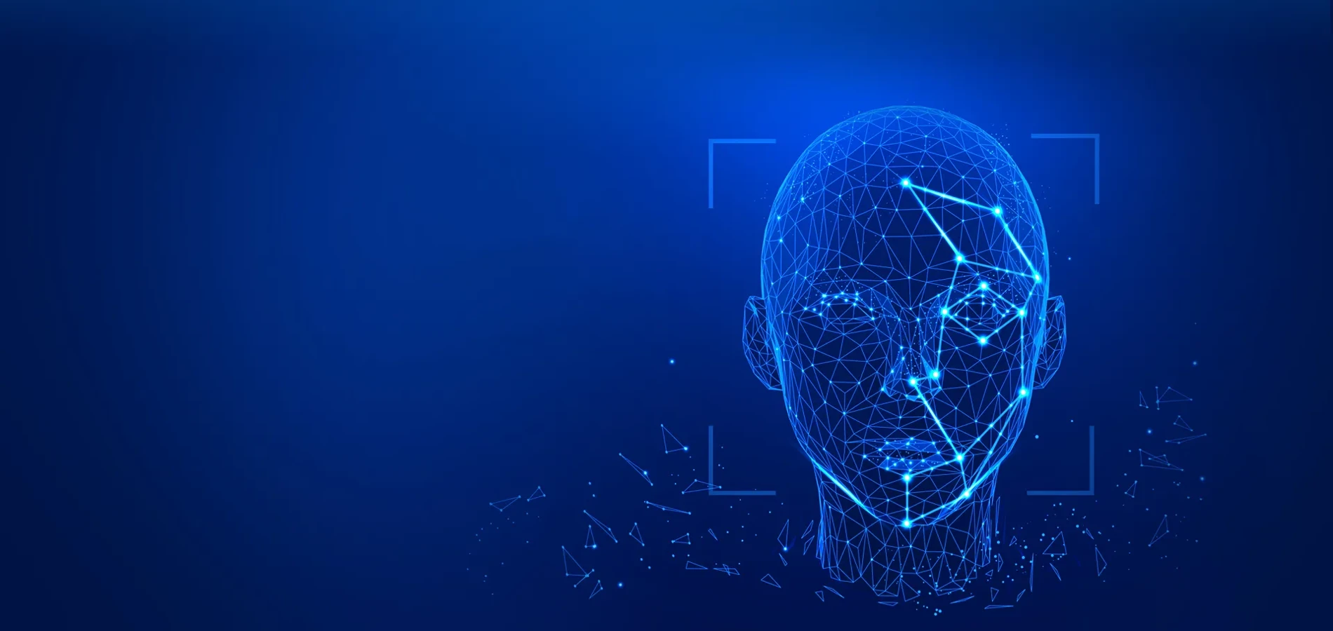 SAPIENT - Giải pháp công nghệ sinh trắc AI